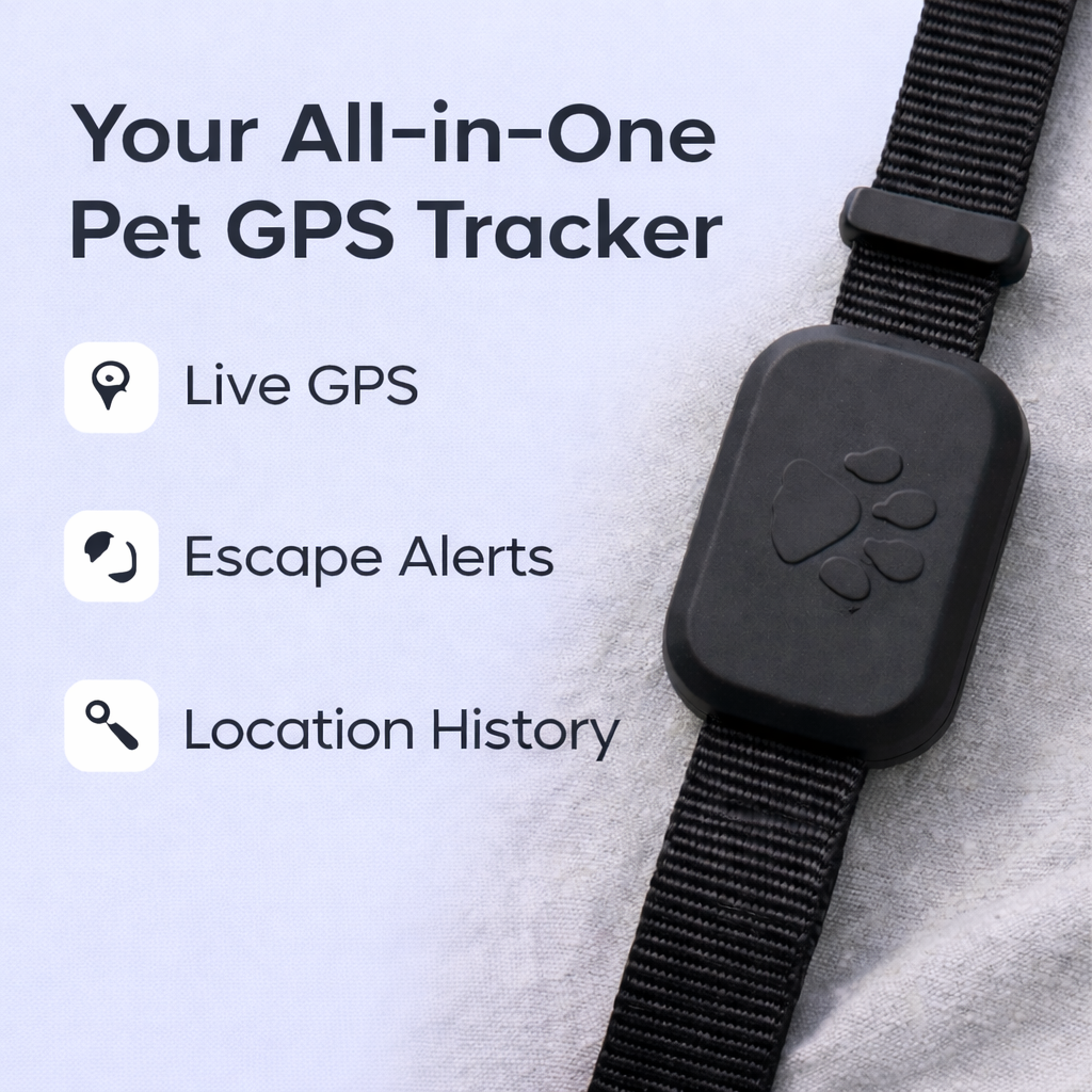 SafePaw GPS