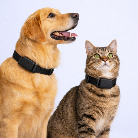 SafePaw GPS